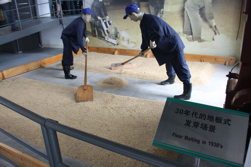 青岛啤酒