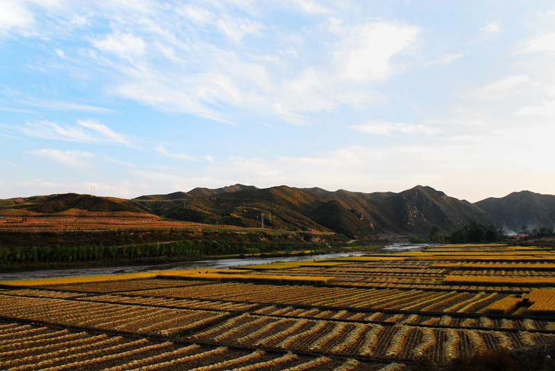 坝上---路边的风景