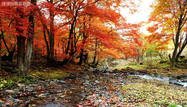 蒙山风光简介