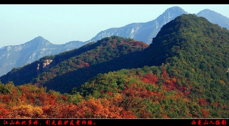 万山红遍,层林尽染.