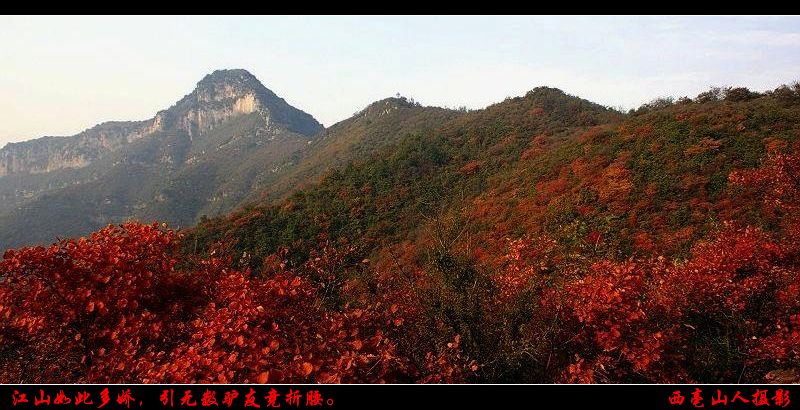 万山红遍,层林尽染.