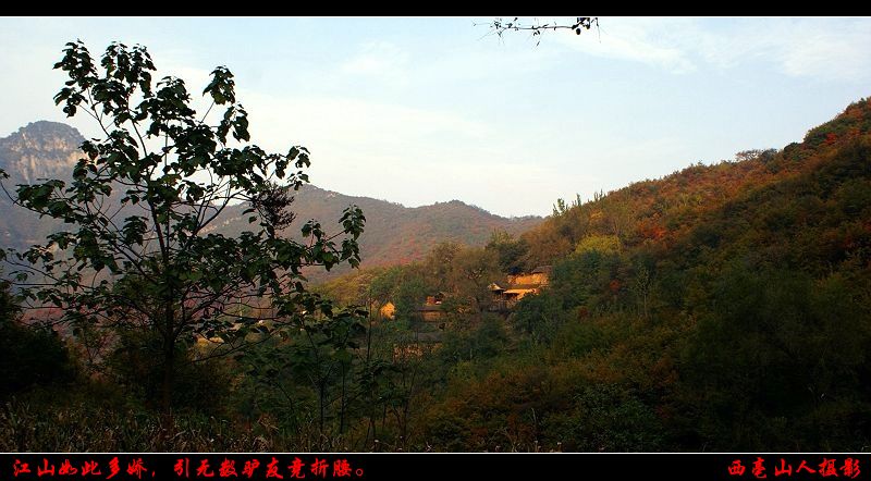 万山红遍,层林尽染.