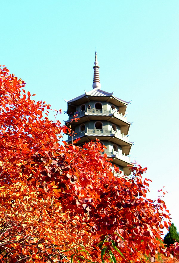 走进红叶谷