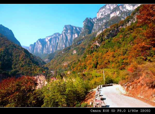 情系八里沟