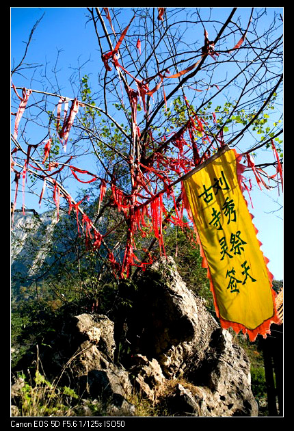 情系八里沟