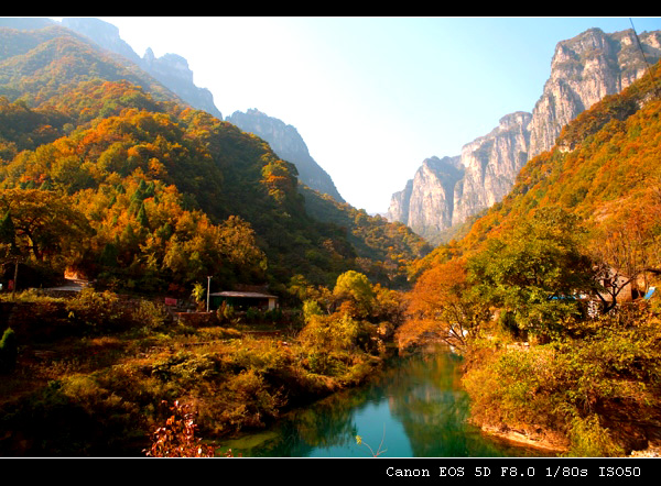 情系八里沟