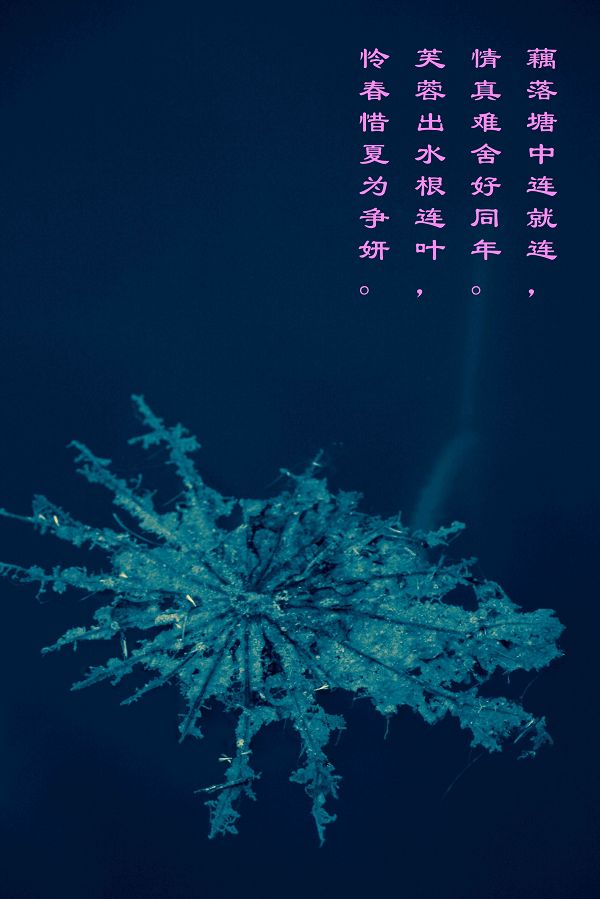 残荷