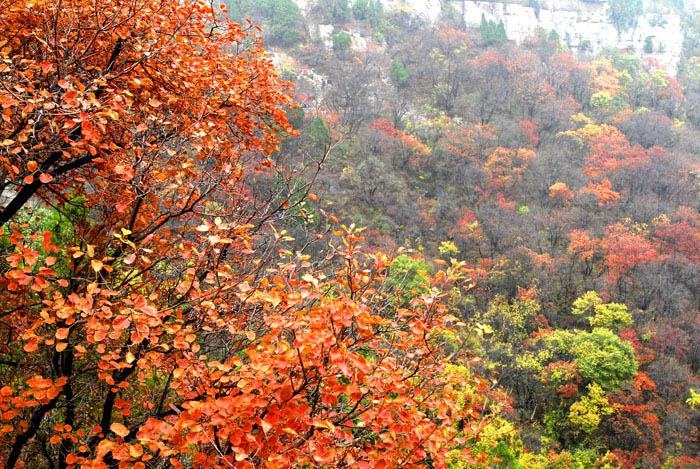 [原创]金秋沂蒙山采风