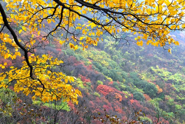[原创]金秋沂蒙山采风