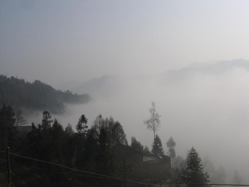 普光之春