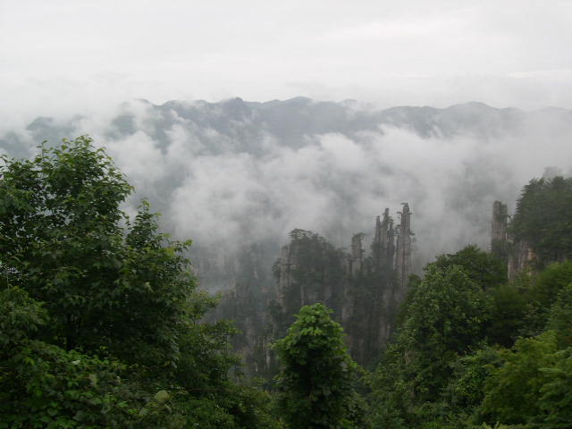 普光之春
