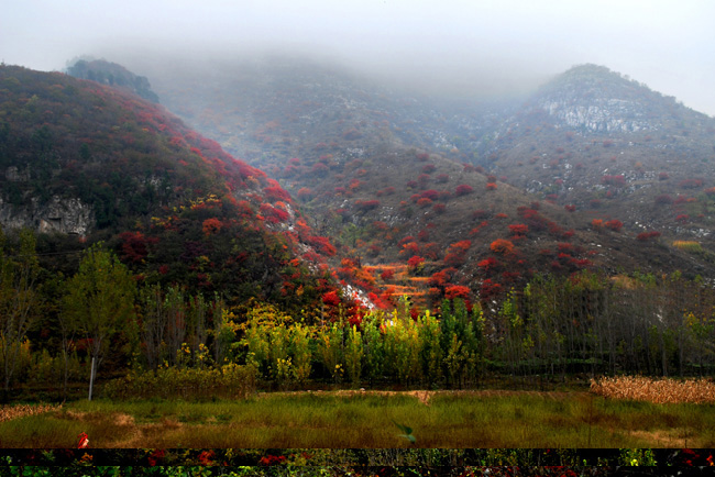 雾锁凤凰山