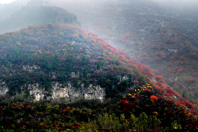 雾锁凤凰山