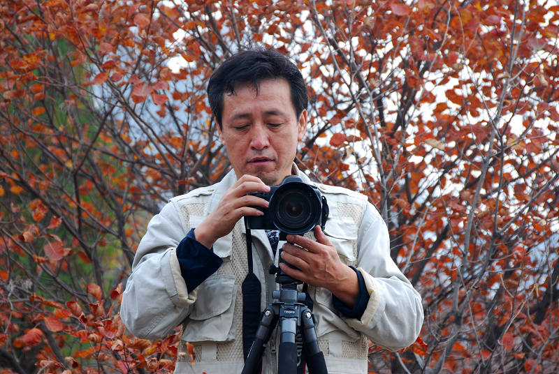 沂蒙山采风花绪