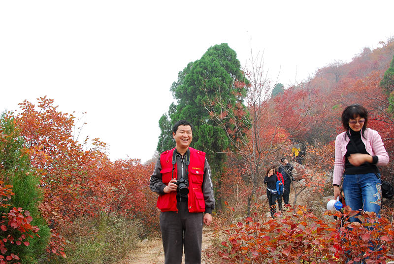 沂蒙山采风花绪