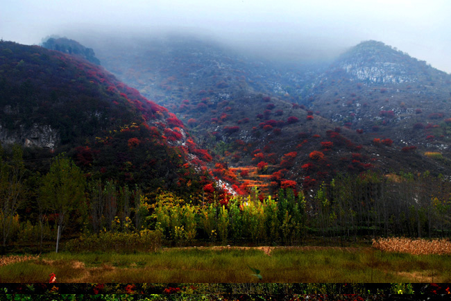 雾锁凤凰山