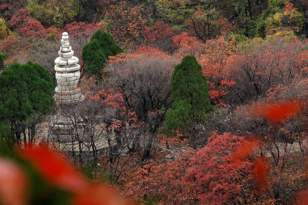 蒙山秋韵