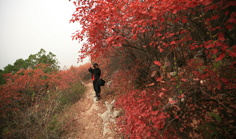 沂源行花絮--------累并快乐着