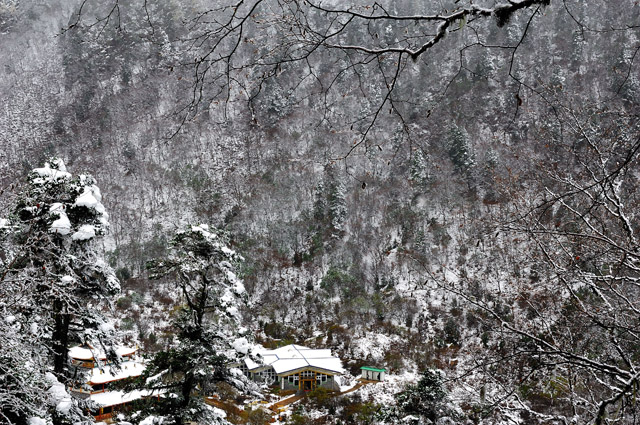[原创]黄龙初雪