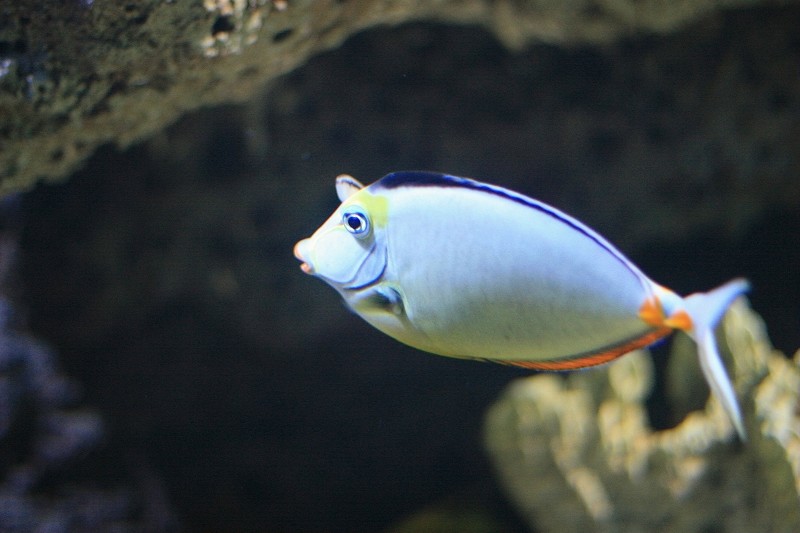 海底世界