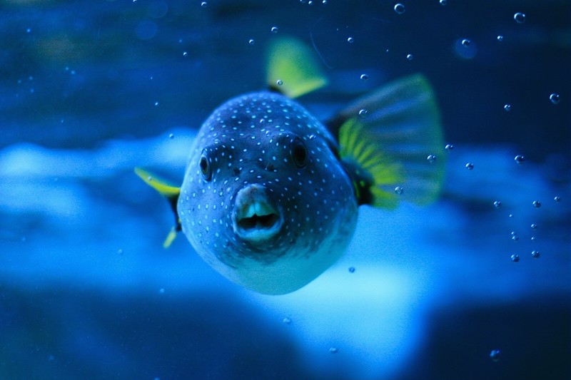 海底世界