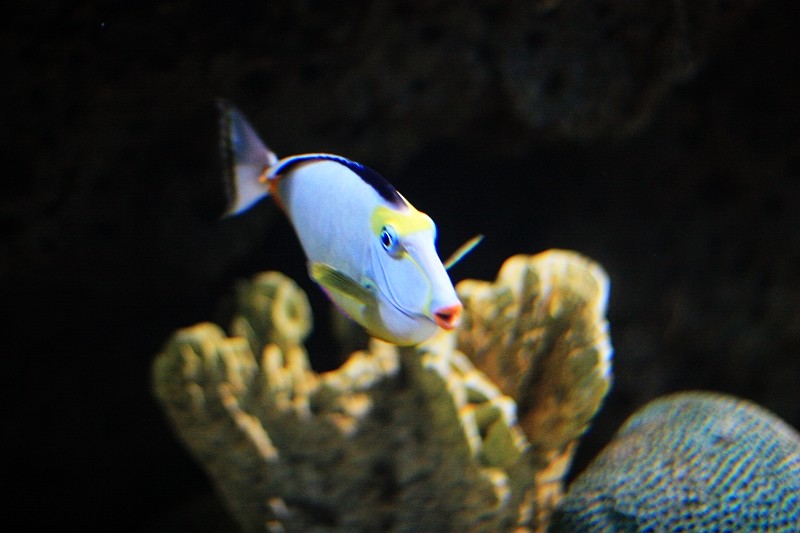 海底世界