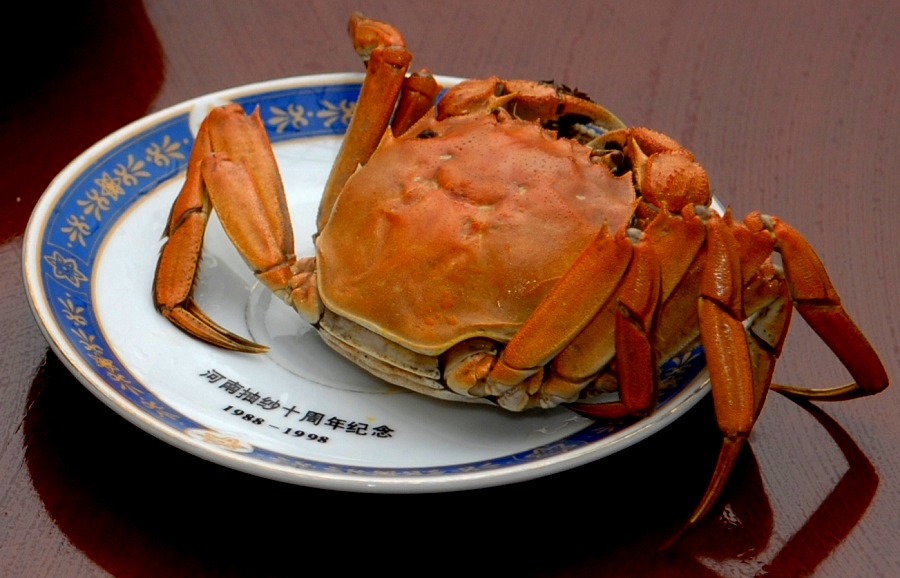 尝尝