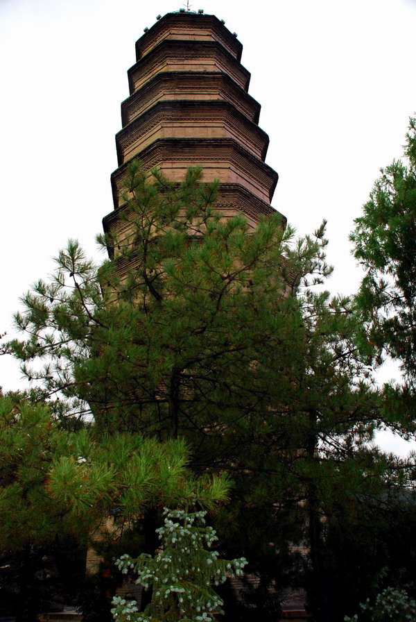 革命圣地--延安宝塔