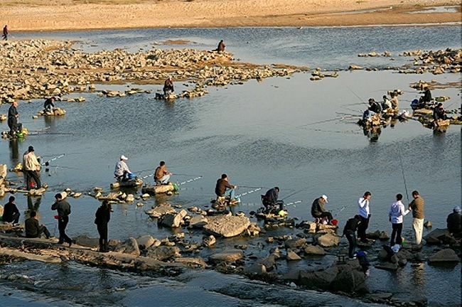 [原创]来自沂蒙山的景色 ---- 沂河随拍