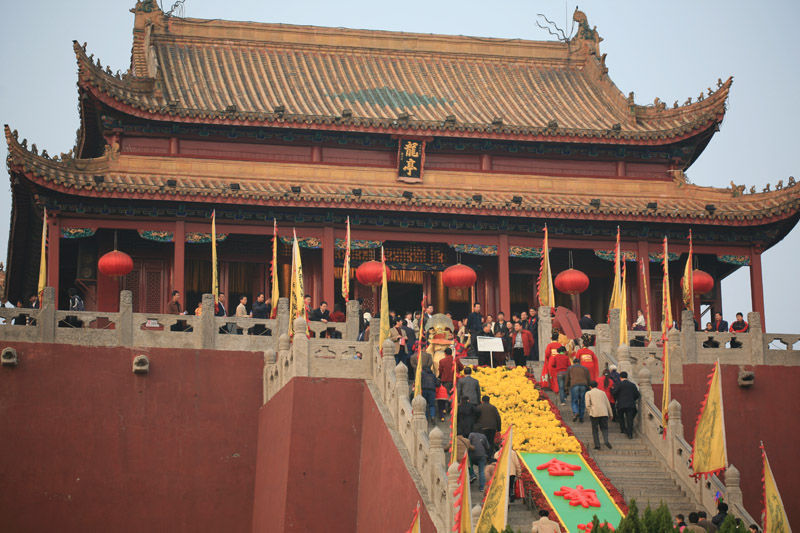 走马观花=开封菊展