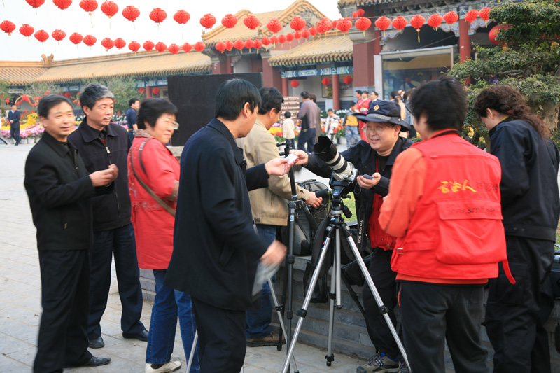 走马观花=开封菊展
