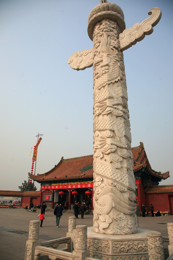 走马观花=开封菊