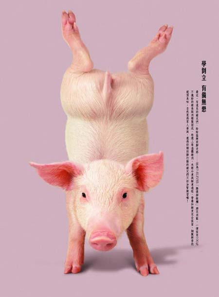 搞笑贴全集