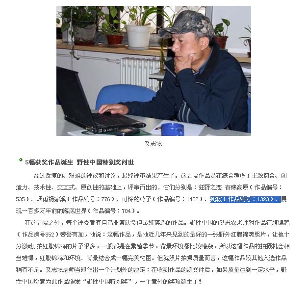 在本坛发图获大奖一和优秀奖二