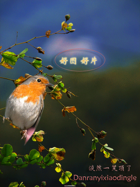 搞笑贴全集