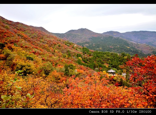 秋染香山