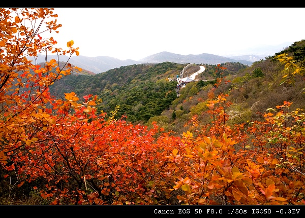 秋染香山