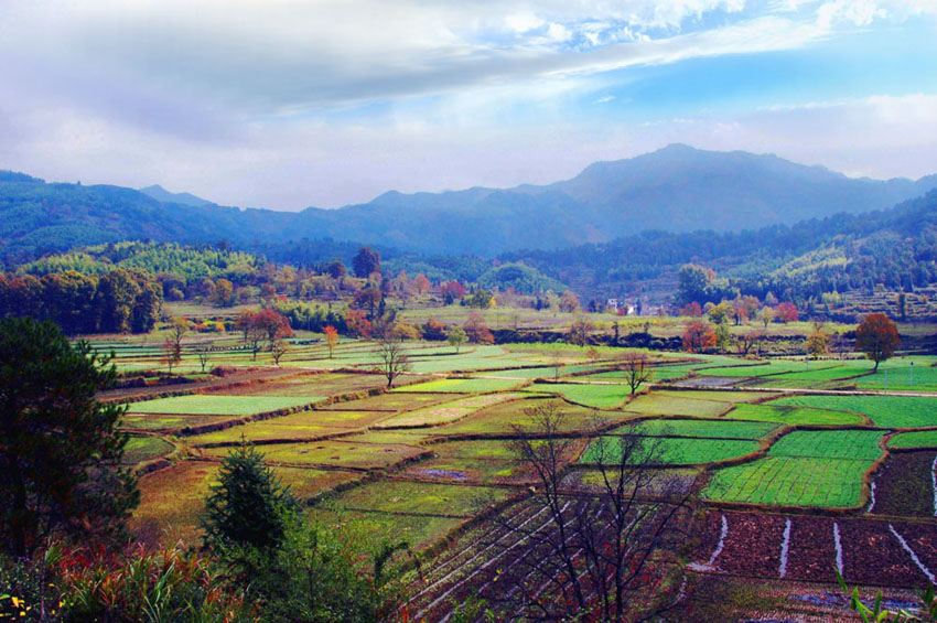 [原创]黟县和婺源秋景