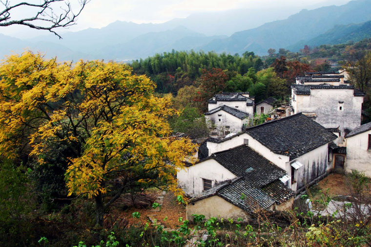 [原创]黟县和婺源秋景