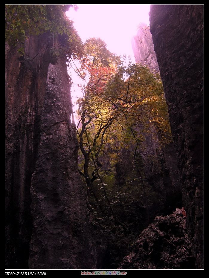 满目青山