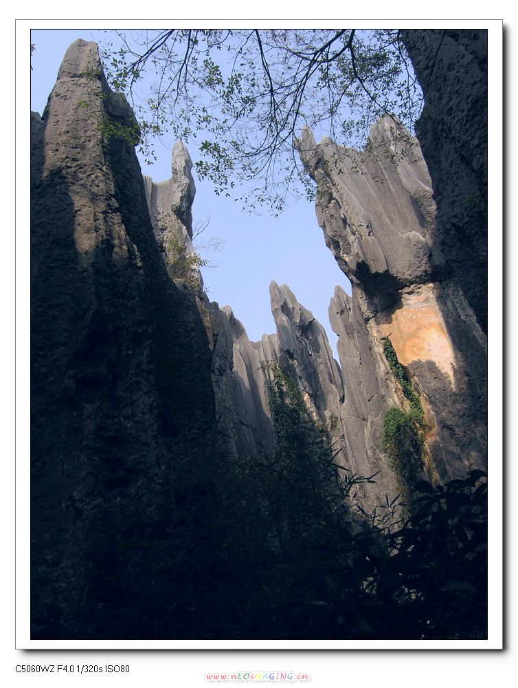 大山深处