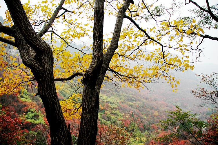 [ 金秋沂蒙老区行 ] [原创]金秋沂蒙山采风 之美景篇
