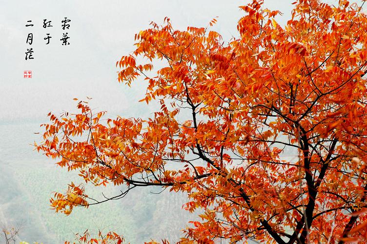 [ 金秋沂蒙老区行 ] [原创]金秋沂蒙山采风 之美景篇