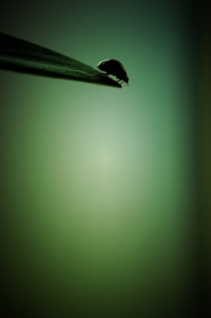 回头是岸