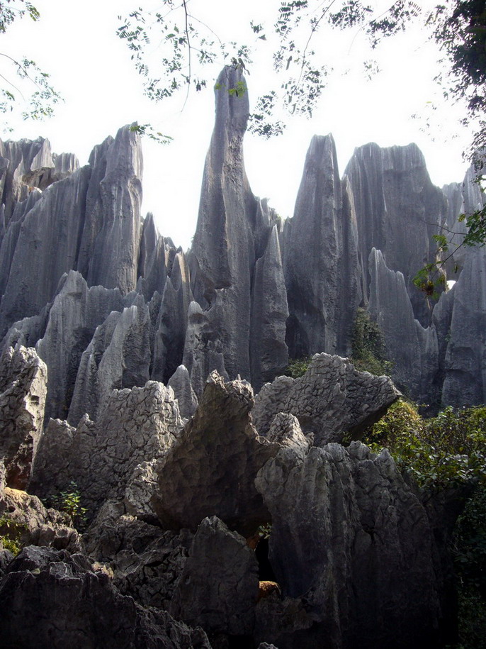 大山深处
