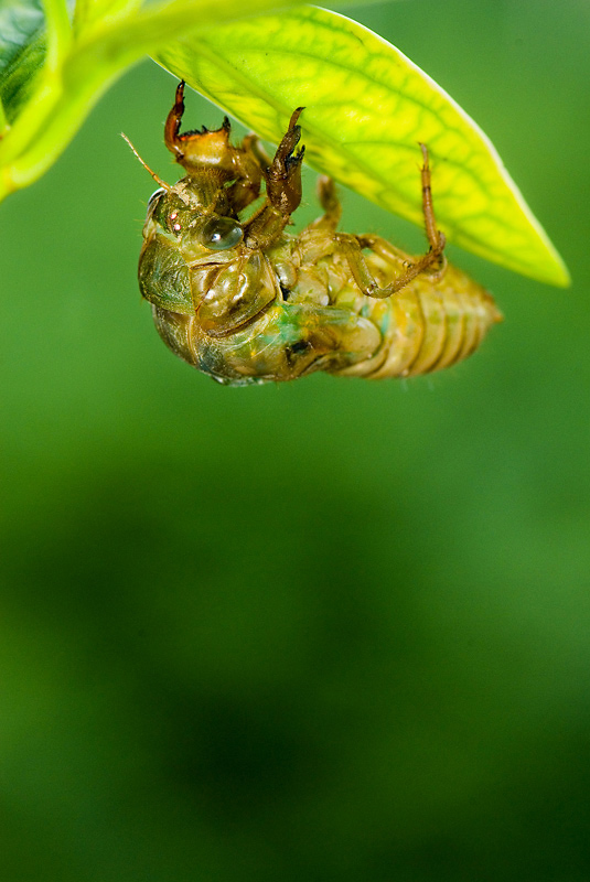组照<<蜕变>>