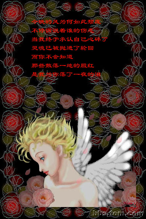 （转帖）落泪的玫瑰