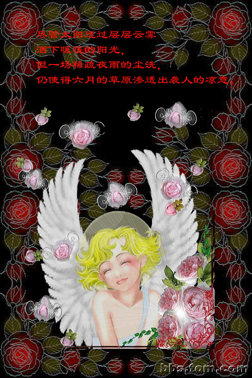 （转帖）落泪的玫瑰