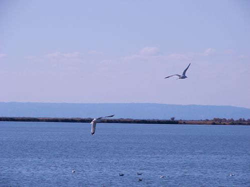 乌尔禾艾里克湖风景