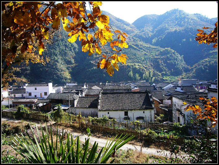 婺源采风散记